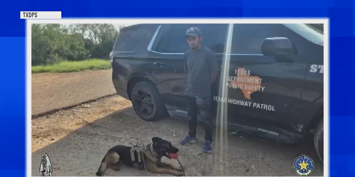 Texas DPS K-9 locates man hiding in brush during border operation