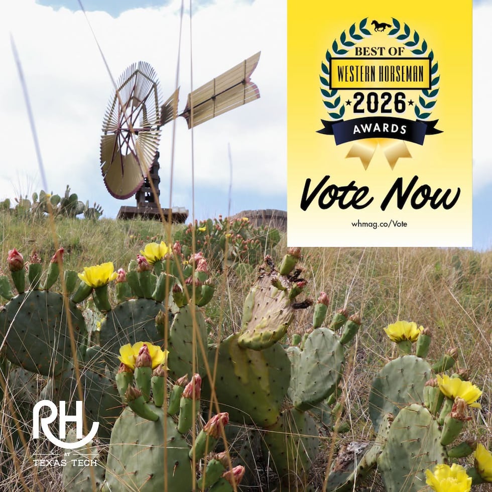 The National Ranching Heritage Center has been voted into the Top 5 of the 2026 Best of...