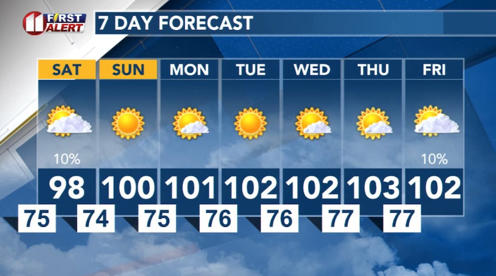 7 Day Forecast