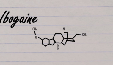 Texas leaders push for ibogaine research as veterans share stories of recovery