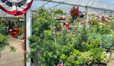 Brumley Gardens becomes Mulberry Creek after 12-year run