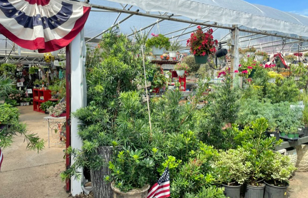 Brumley Gardens becomes Mulberry Creek after 12-year run