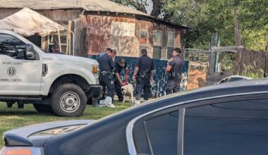 18 abandoned dogs seized from far SW Bexar County property once described as 'puppy mill'