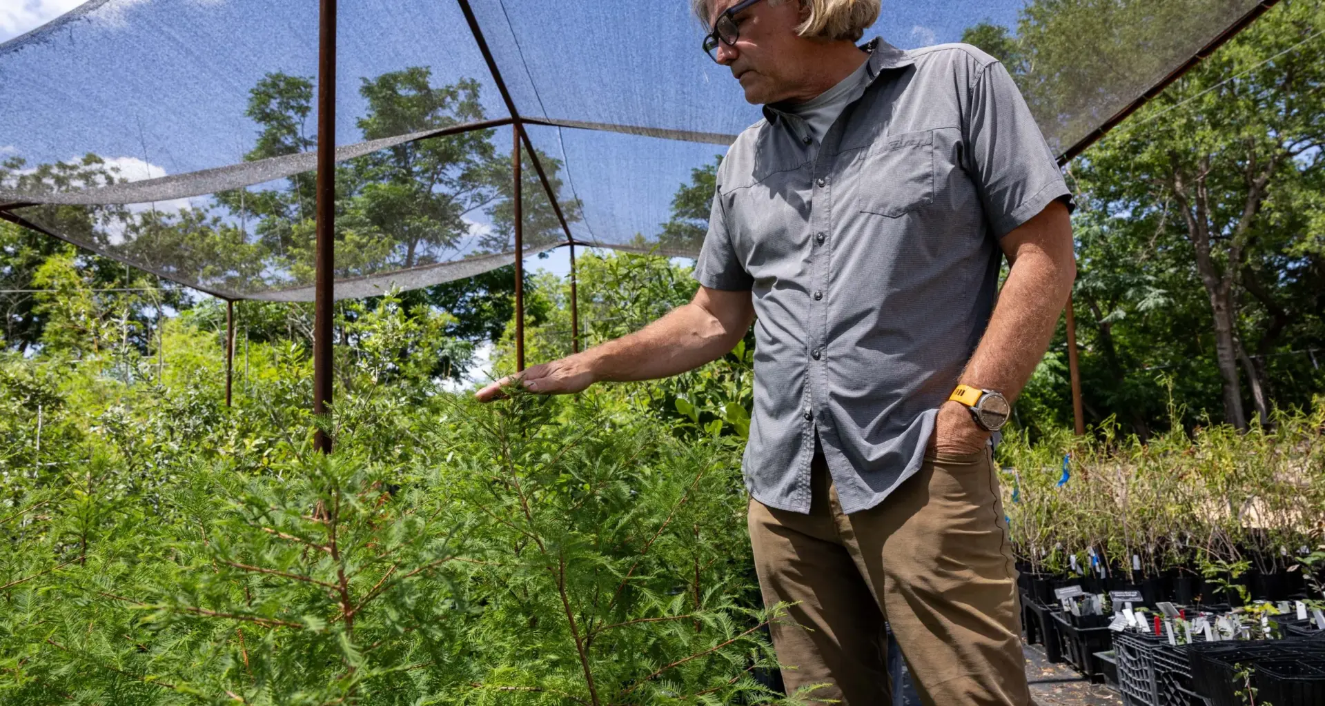San Antonio Botanical Garden helps replant Hill Country riverbanks