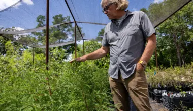 San Antonio Botanical Garden helps replant Hill Country riverbanks