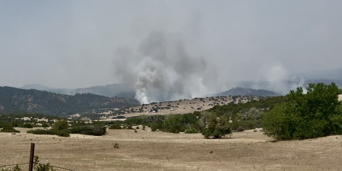 Air quality alerts issued for many southern Colorado communities due to wildfire smoke