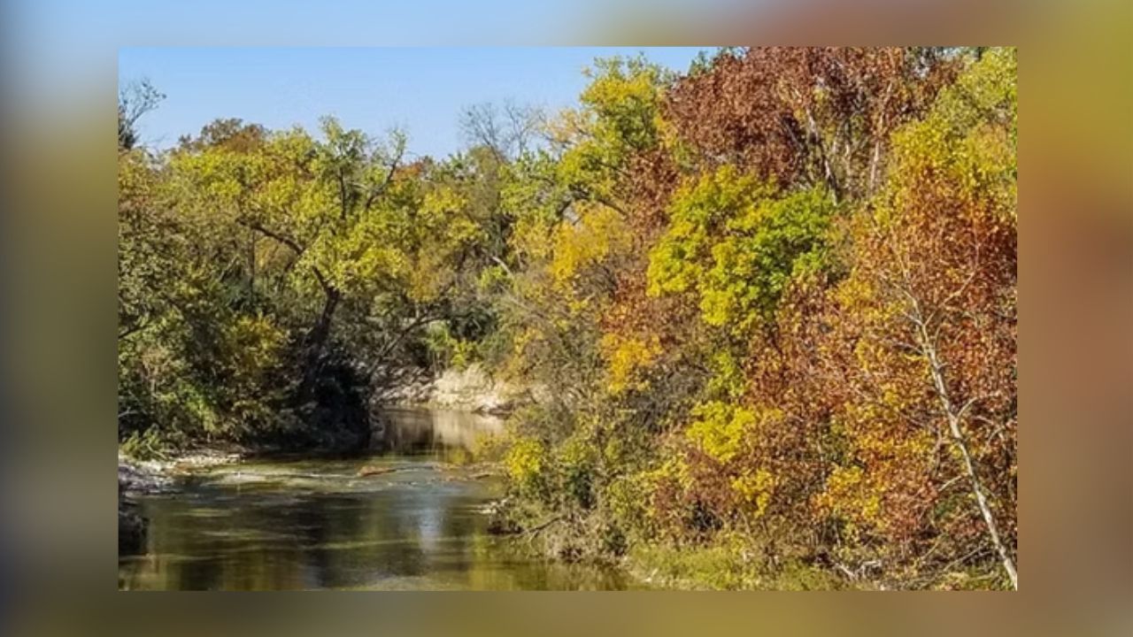 Woman Saved After Trapped In Mud Behind Dallas High School