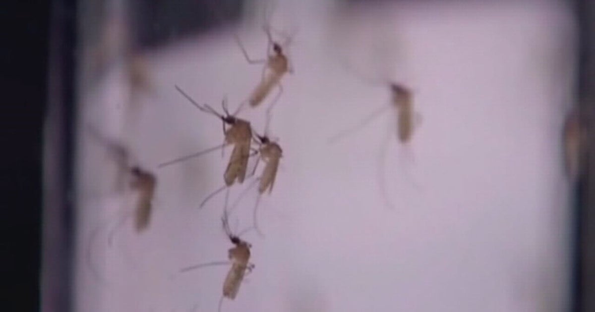 West Nile Virus human cases reported in Houston, Harris County