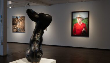 Weekend Worthy: Cool down from summer heat by exploring Texas art exhibition