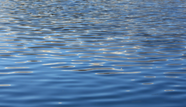 Two people drown after kayak overturns in private Fort Worth pond