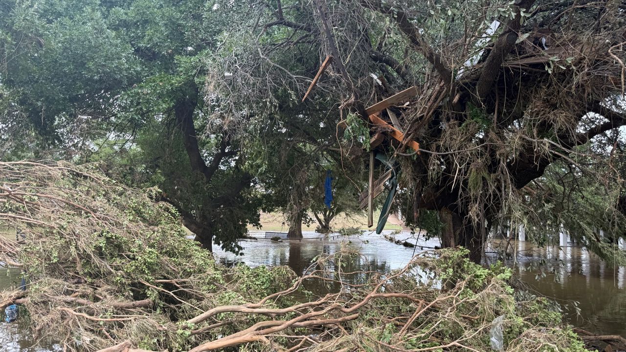 A trash barrel and boards are caught in a tree after flood waters receded in Uvalde, Texas. (Spectrum News)