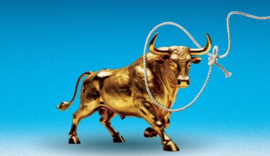 Wall Street bull being lassoed