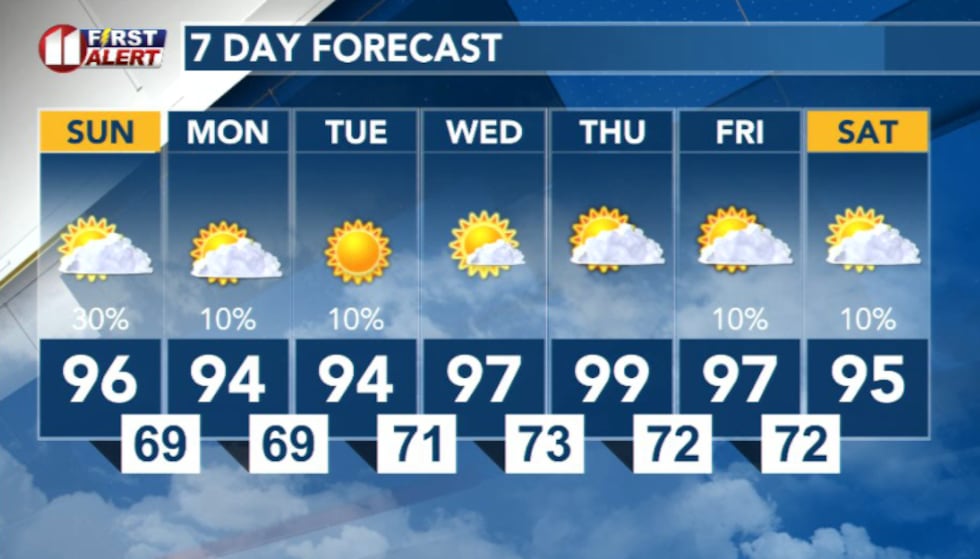 7 Day Forecast