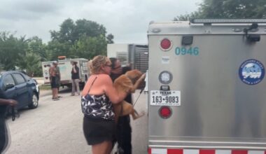 33 pets rescued from Corpus Christi home after eviction