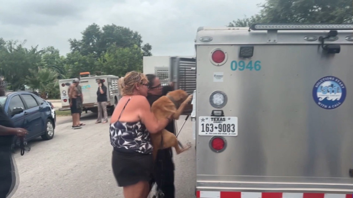 33 pets rescued from Corpus Christi home after eviction