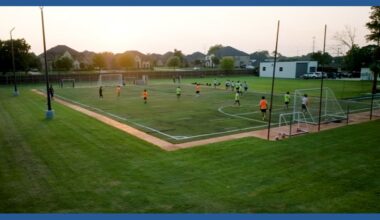 Arlington dad fulfills dream of building a soccer pitch in his backyard