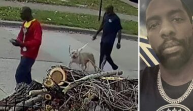 Trackdown: Persons of interest sought in West Dallas murder initially thought to be dog attack death