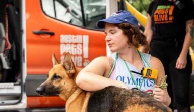 Austin Pets Alive! seeks fosters for pets rescued in floods