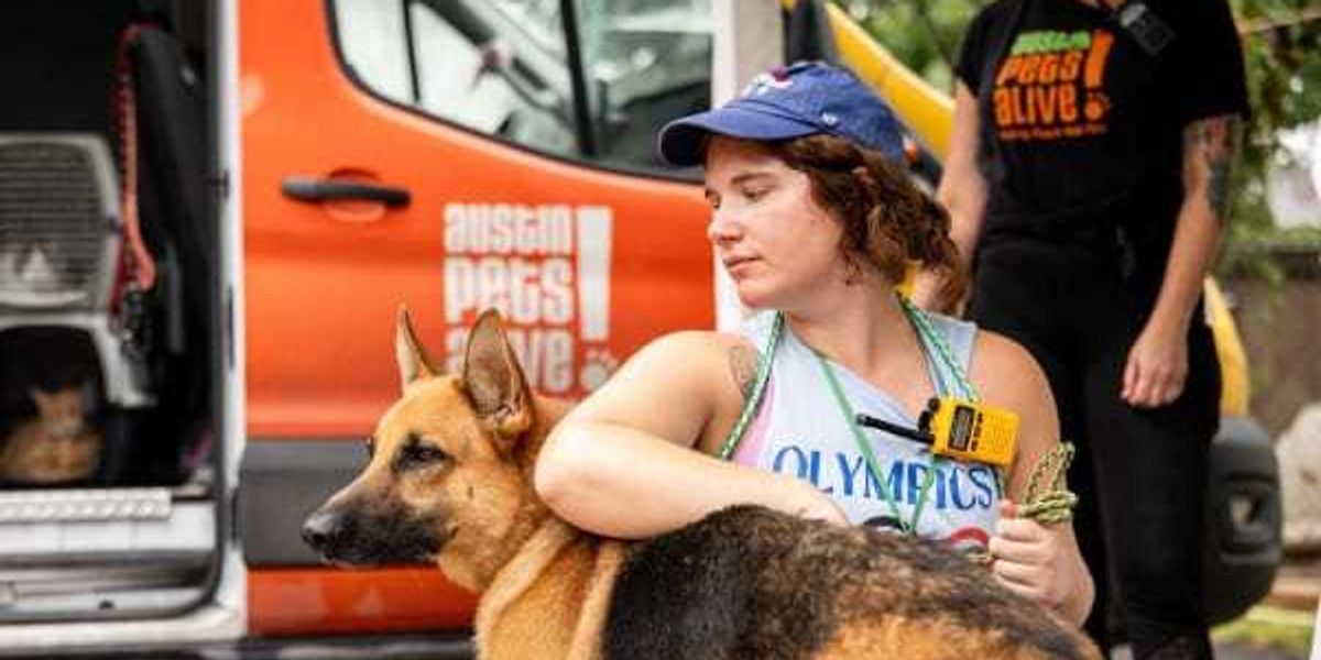 Austin Pets Alive! seeks fosters for pets rescued in floods