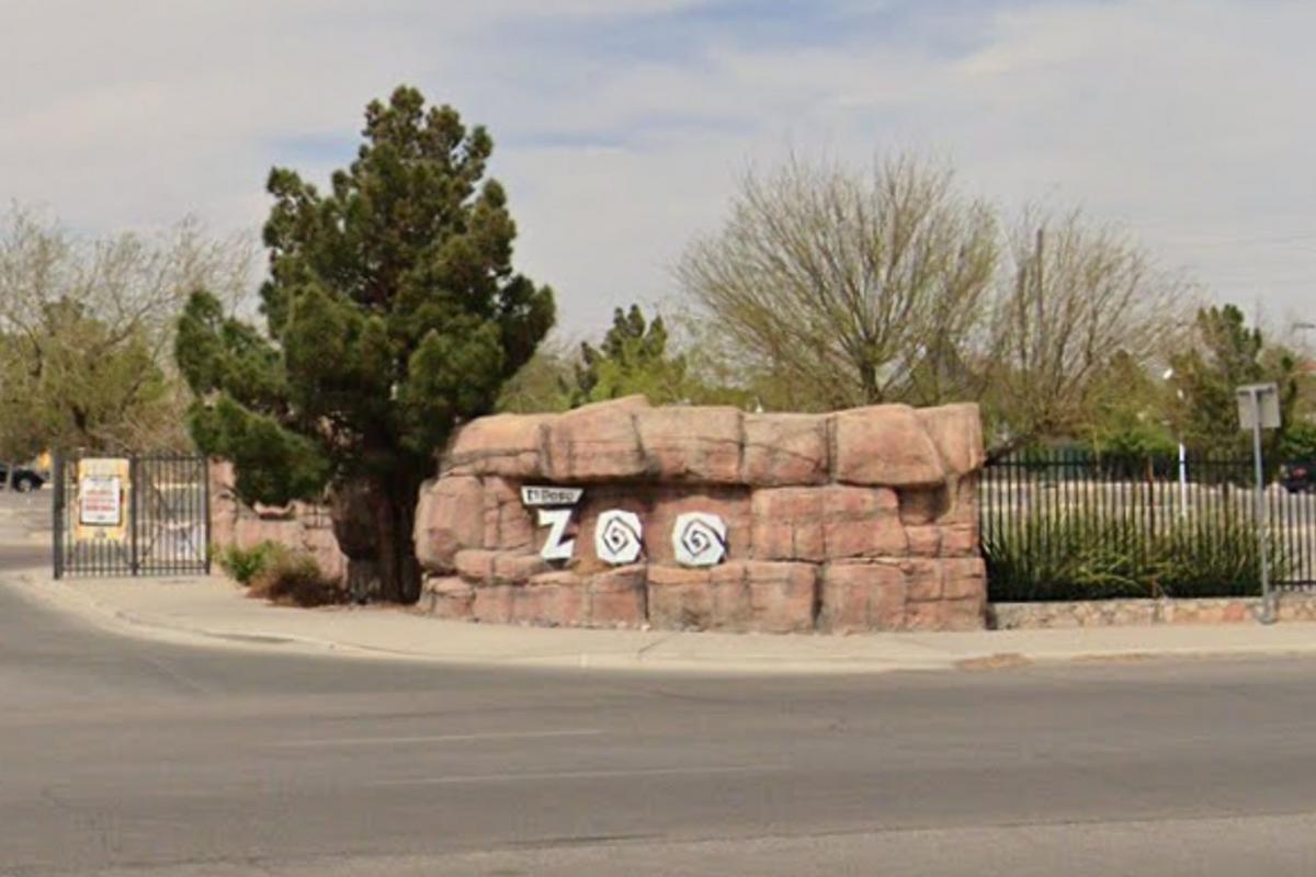 The El Paso Zoo Is Scoring Goals for Conservation