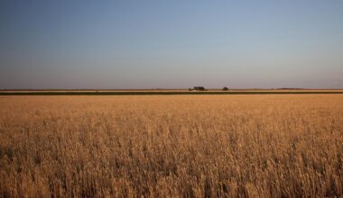 How The Caprock Escarpment Shapes Lubbock's Wild Weather