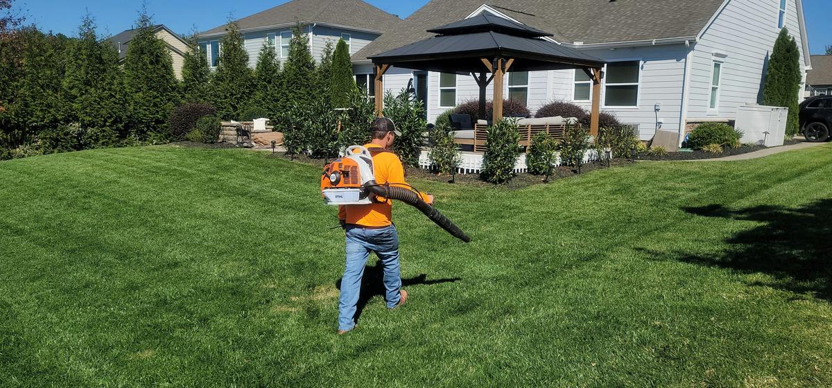 Lubbock's Lawn Care Rule Most Residents Don't Know About