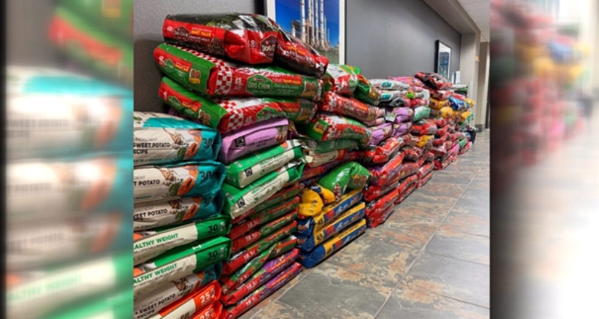 Local companies donate thousands of pounds of food to help shelter pets