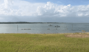 Benbrook Lake body recovered after man went underwater – NBC 5 Dallas-Fort Worth