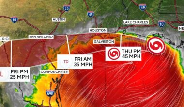 Bertha weakens to tropical depression, continues to dump rain along Gulf Coast