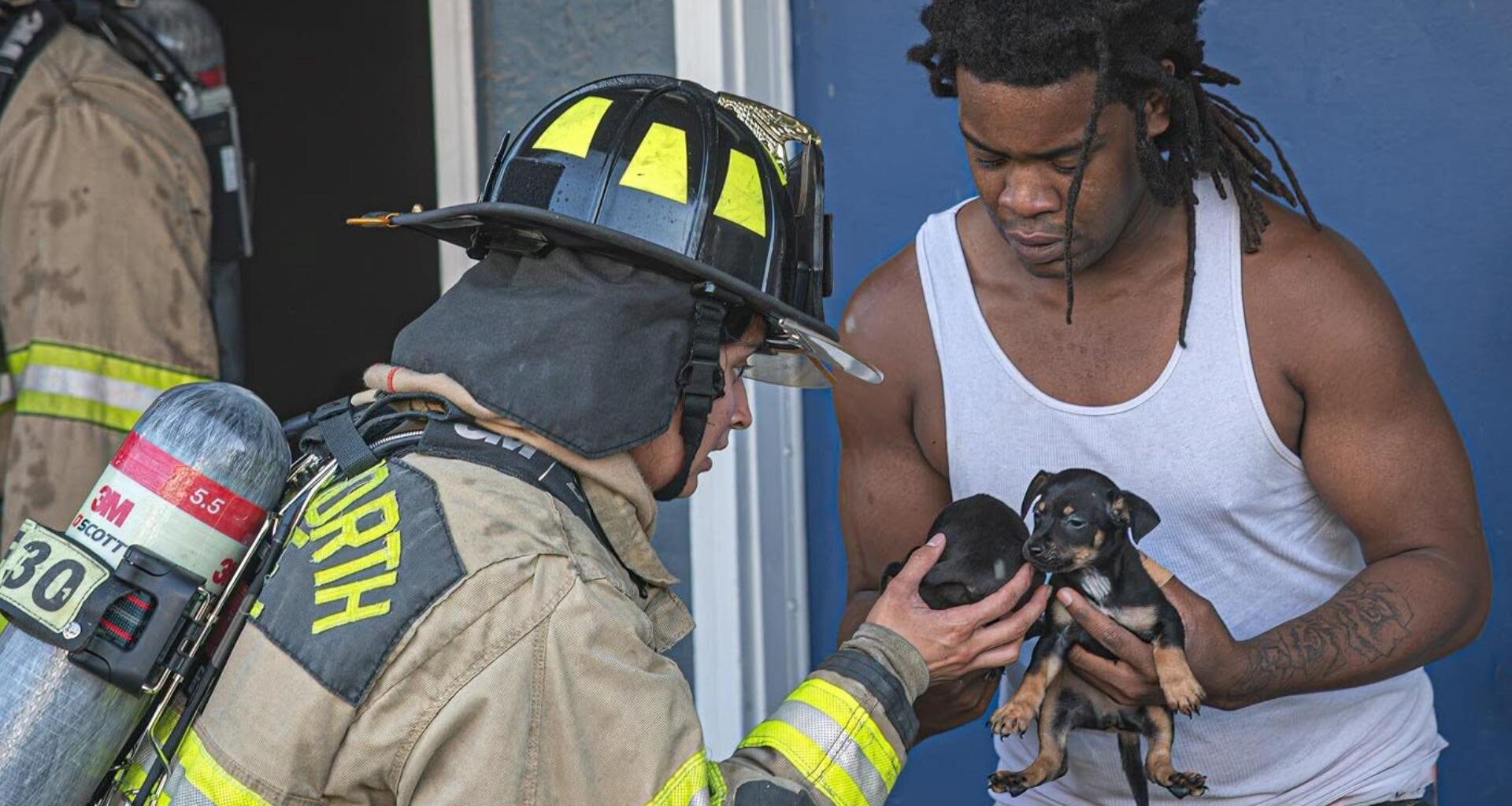 Fort Worth firefighters put out apartment fire, rescue puppies