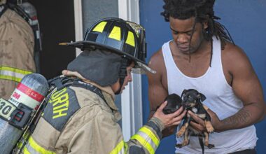 Fort Worth firefighters put out apartment fire, rescue puppies