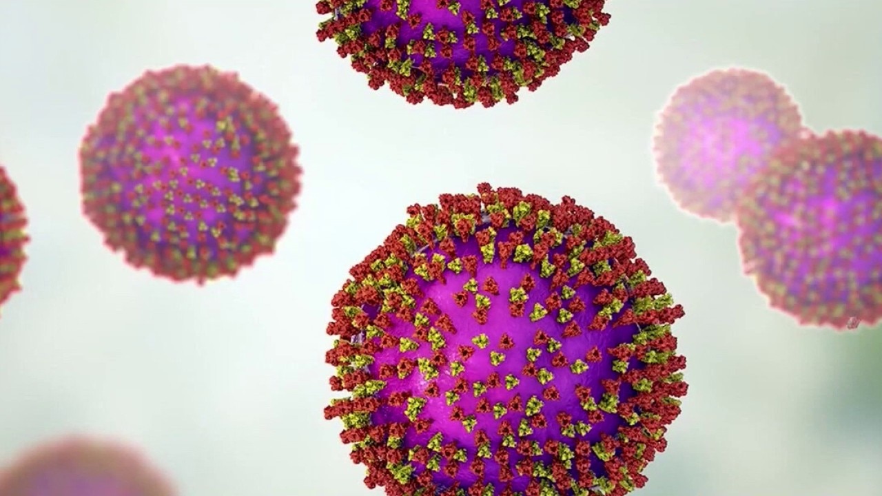 Cyclosporiasis cases on the rise across Michigan 