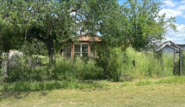 Overgrown grass prompts Mathis Mayor to issue emergency declaration