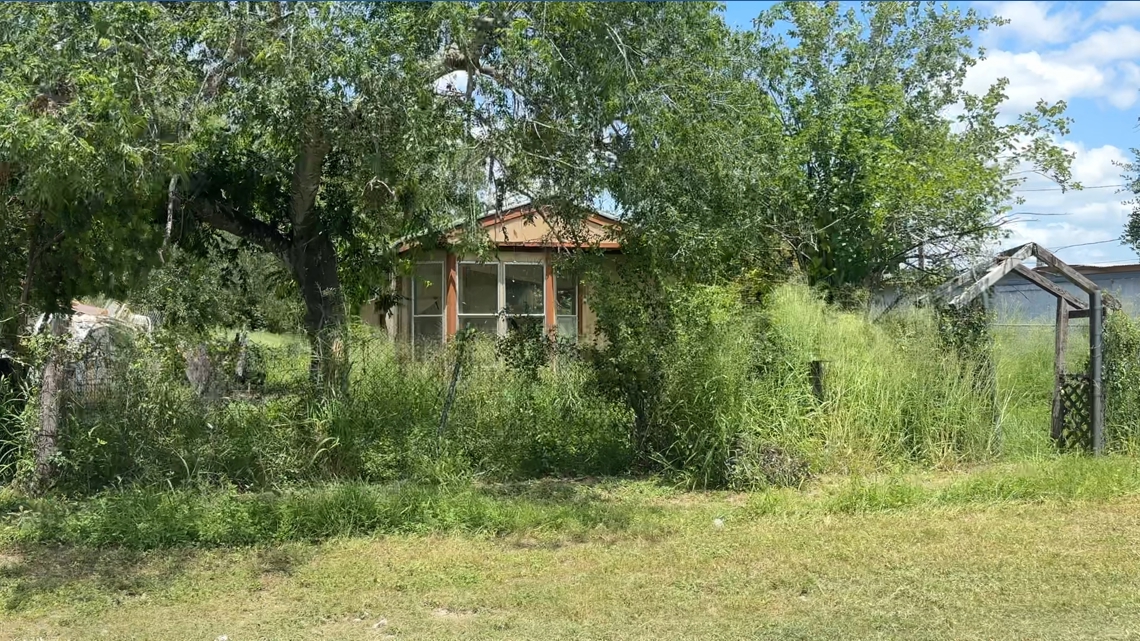 Overgrown grass prompts Mathis Mayor to issue emergency declaration