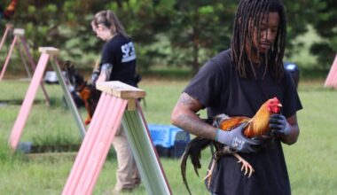 Nearly 200 birds seized, East Texas man arrested in raid on alleged cockfighting ring east of Dallas, the SPCA says