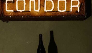 Condor wine bar opens in San Antonio's St. Paul Square