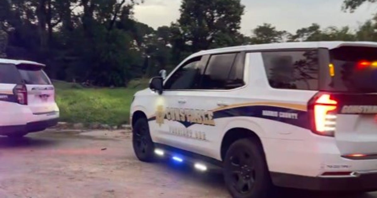 White Oak Bayou attack: Teen accused in sexual assault, attempted drowning