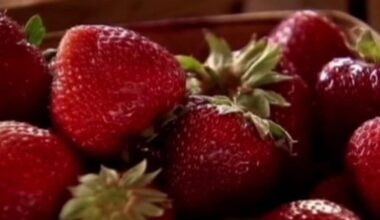 Houston doctor warns of seasonal parasite spike tied to popular raw summer foods