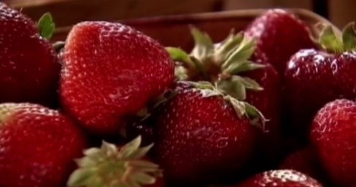 Houston doctor warns of seasonal parasite spike tied to popular raw summer foods