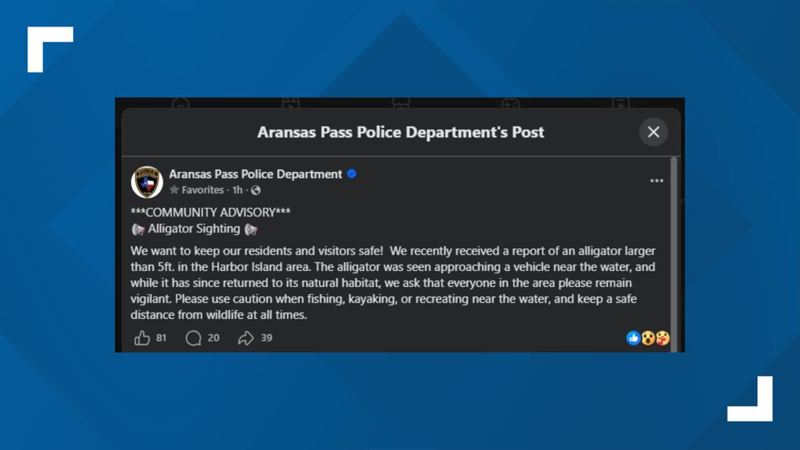 Aransas Pass police warn of alligator sighting near Harbor Island