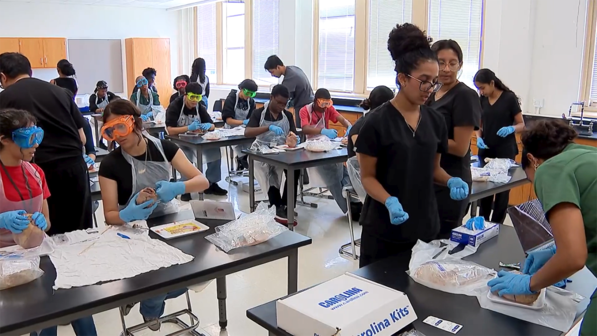 Dallas ISD future doctors study hearts in summer program – NBC 5 Dallas-Fort Worth