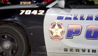 Dallas police say suspected dog attack death was a homicide – NBC 5 Dallas-Fort Worth