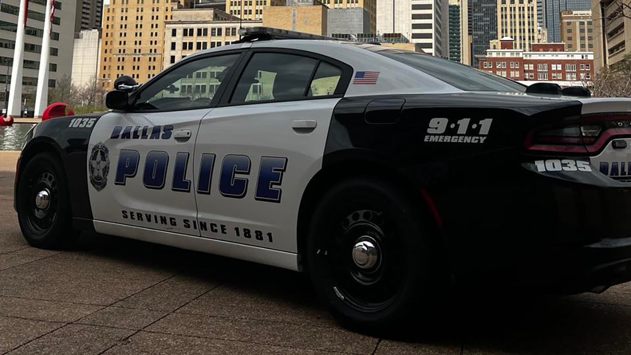 Dallas rescue operation saves woman trapped for days in mud ravine