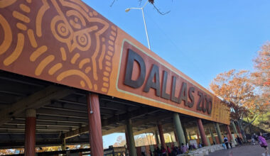 Dallas Zoo Study Projects $18 Impact Per City Dollar