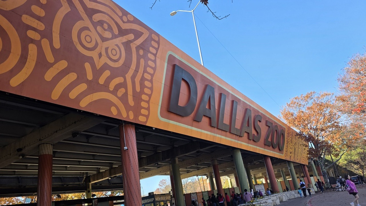 Dallas Zoo Study Projects $18 Impact Per City Dollar
