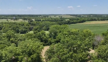 Democratic candidate for Lt. Governor, other Texas Democrats push for moratorium, special session on data centers