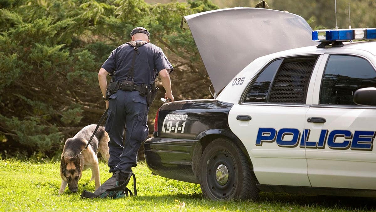 Police dog sniffs a backpack.