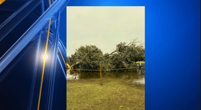 City parks crews removing large damaged tree at Eastwood Park