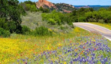 Texas' Hill Country Route named most scenic road trip by CNT
