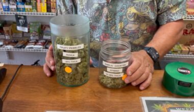 Texas hemp ban leaves South Texas shops scrambling ahead of Friday deadline